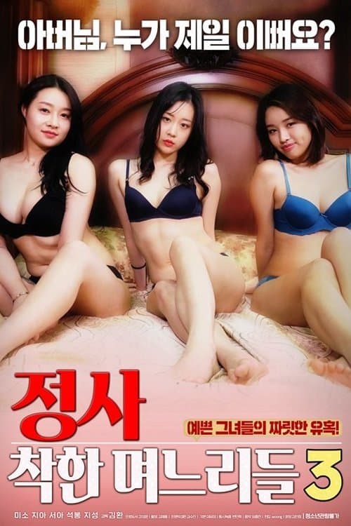 An Affair: Kind Daughters-in-law 3 (2019) poster