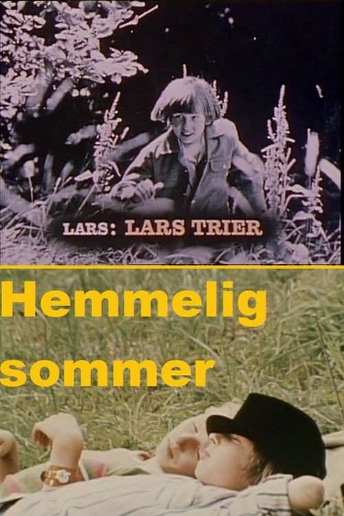Clandestine Summer (1969) poster