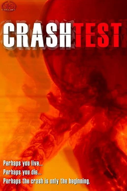 Crash Test (2003) poster