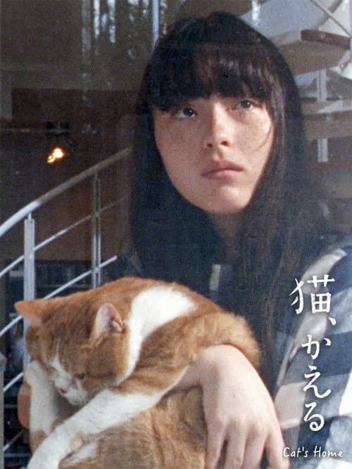 Cat's Home (2020) poster
