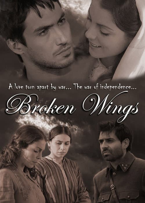 Kırık Kanatlar poster