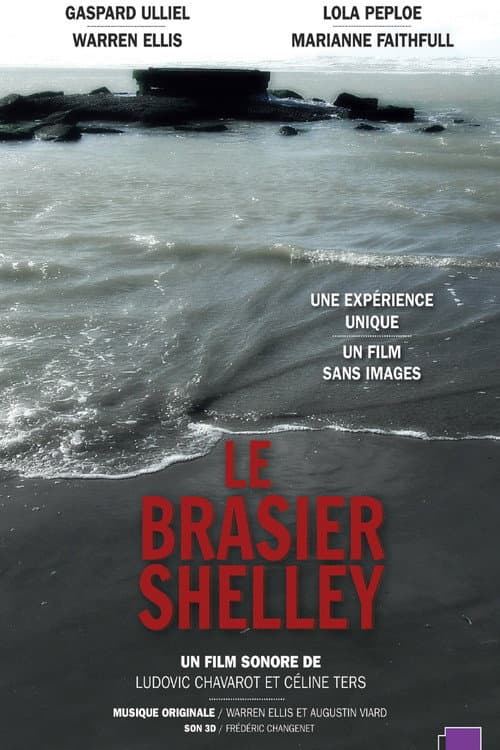 Shelley's Blaze (2018) poster
