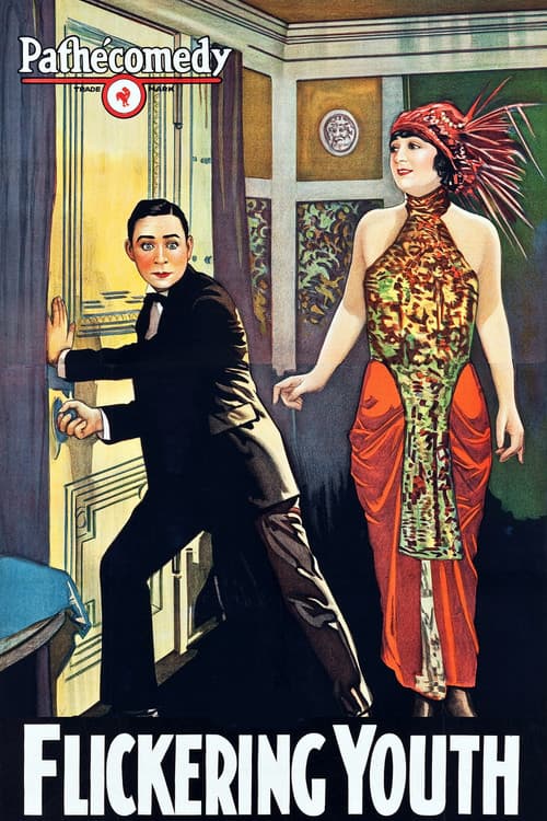Flickering Youth poster