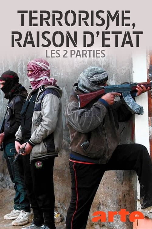 Terrorism: After 9/11 (2017) poster