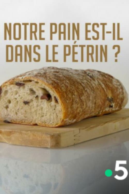 Notre pain est-il dans le pétrin ? (2017) poster