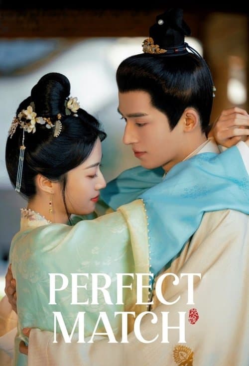 Perfect Match (2025) poster