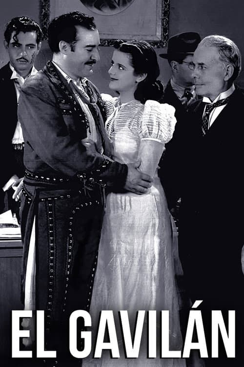The Hawk (1940) poster