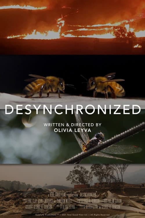 Desynchronized poster