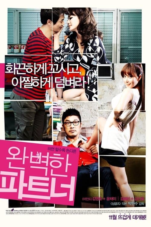 My Secret Partner (2011) poster