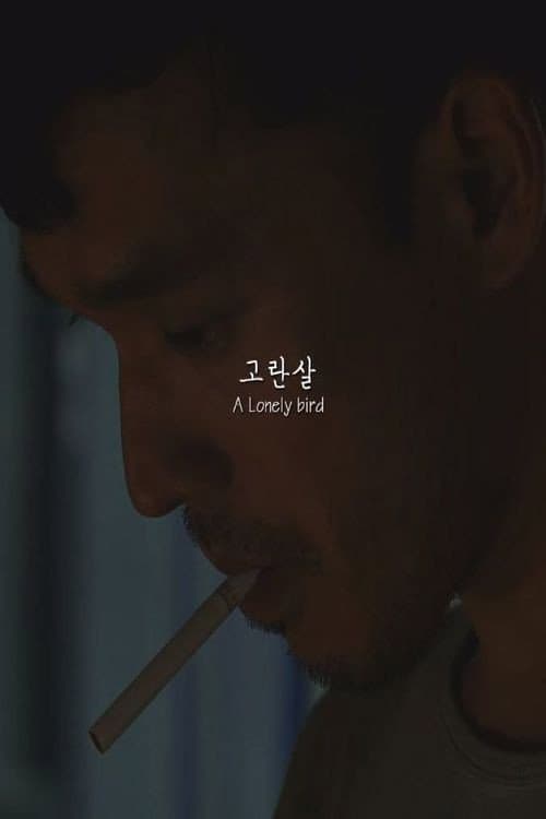 A Lonely bird poster