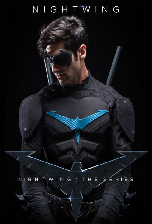 Nightwing: The Series poster
