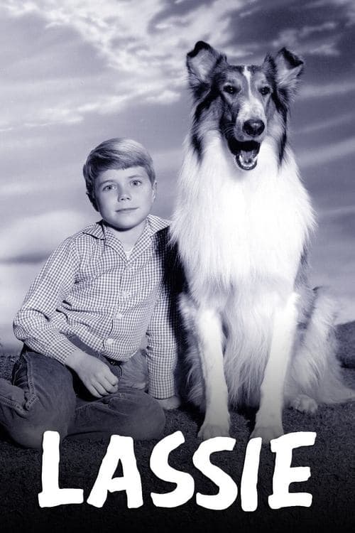 Lassie (1954) poster