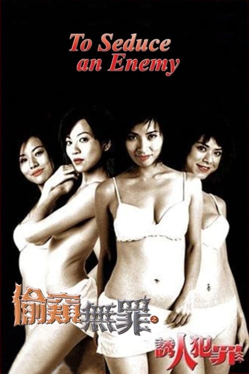 To Seduce an Enemy (2003) poster