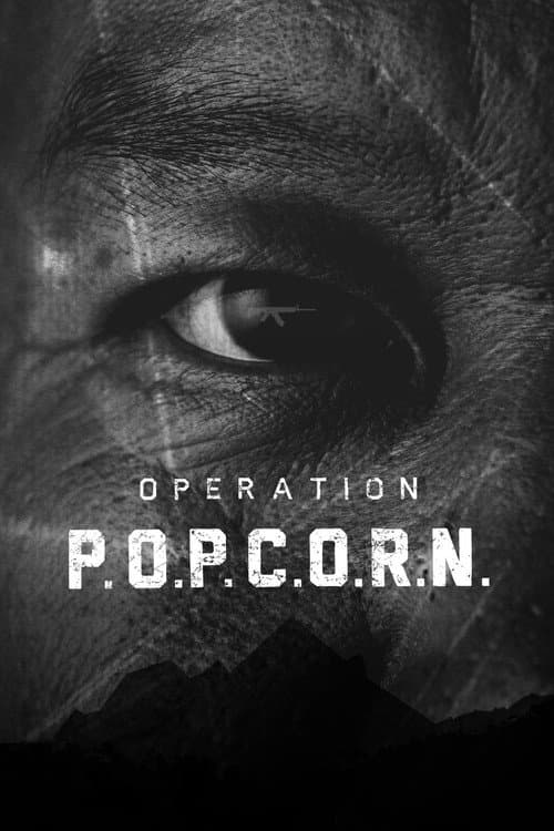 Operation Popcorn poster