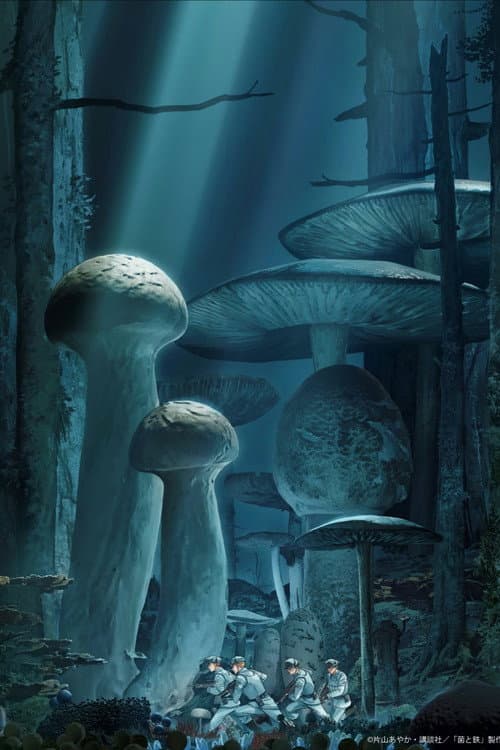 Fungus and Iron poster