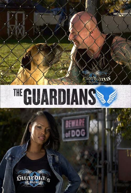 The Guardians (2017) poster