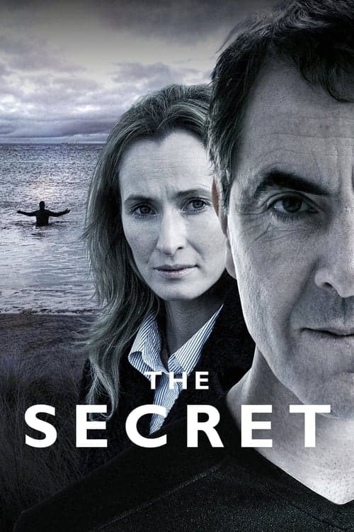The Secret (2016) poster