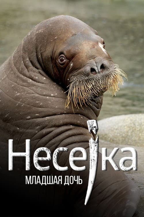 Neseyka: The Youngest Daughter (2020) poster