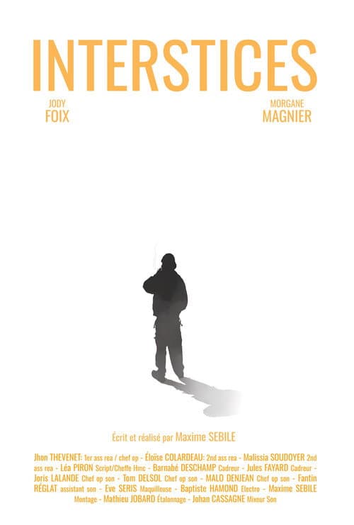 Interstices poster