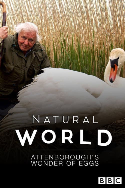 Attenborough's Wonder of Eggs (2018) poster