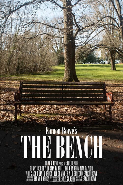 The Bench poster