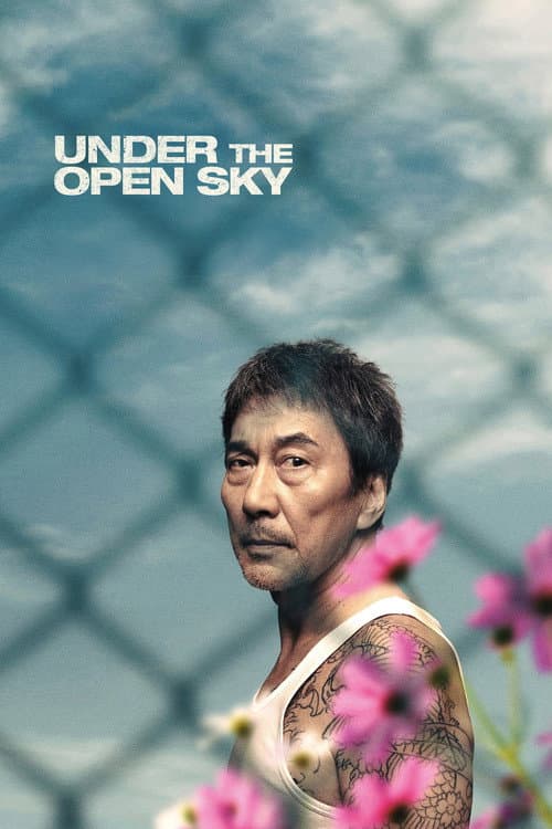 Under the Open Sky (2021) poster
