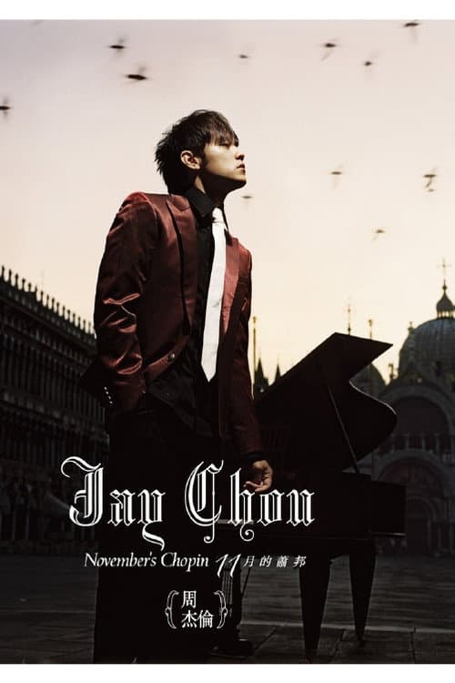 十一月的肖邦 (2005) poster