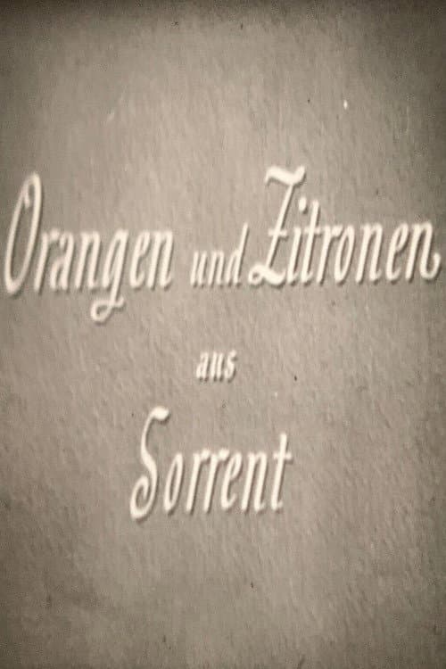 Orangen und Zitronen aus Sorrent poster