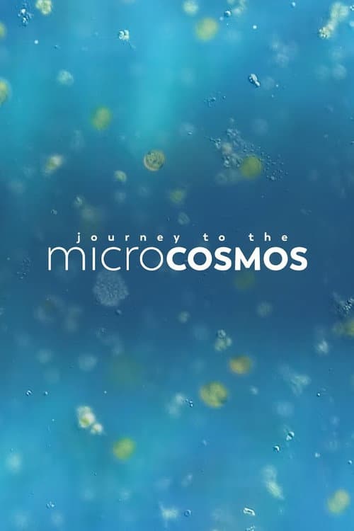 Journey to the Microcosmos (2019) poster
