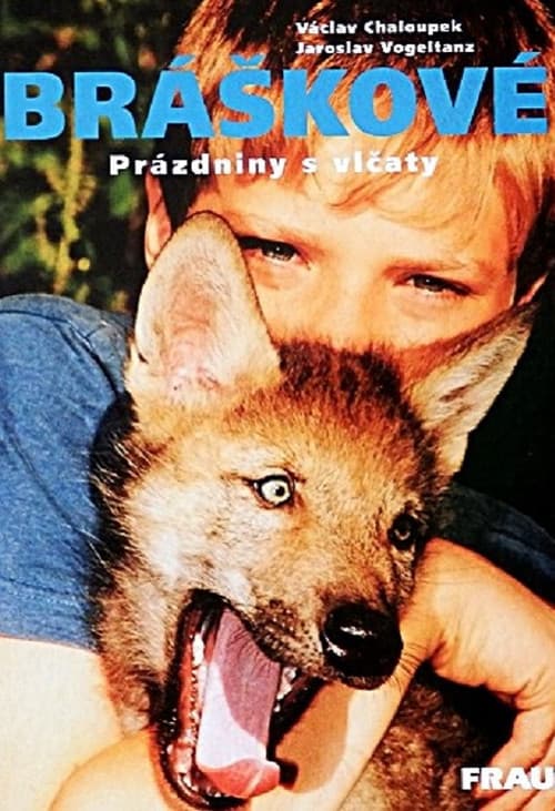 Bráškové poster