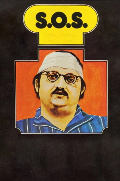 S.O.S. (strašne ošemetná situácia) poster