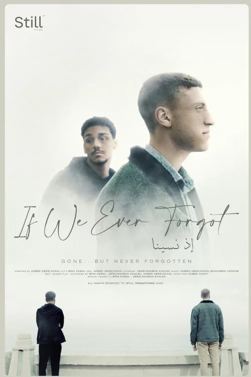 If We Ever Forgot poster