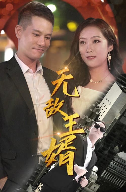 无敌王婿 poster