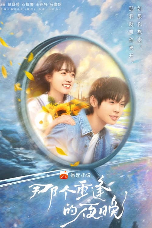 We Shall Meet Again (2024) poster