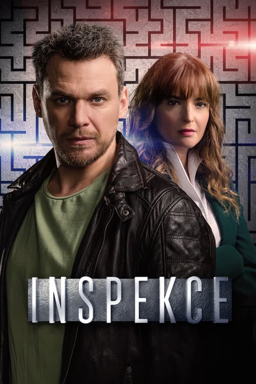 Inspekce (2026) poster