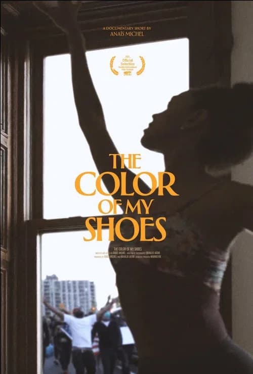 The Color of My Shoes poster