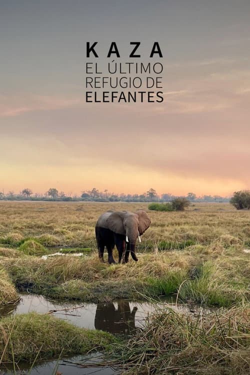 Kaza: The Last Refuge of Elephants poster