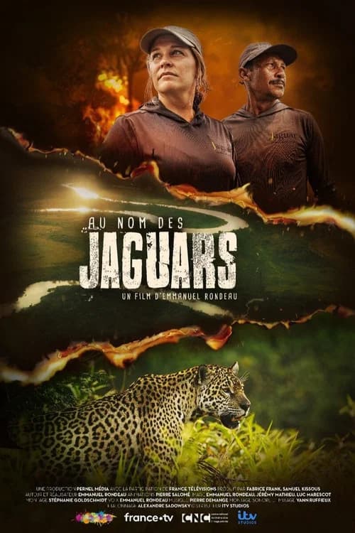 Au nom des jaguars poster