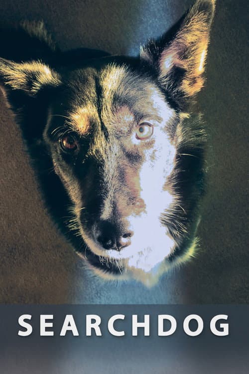 Searchdog (2016) poster