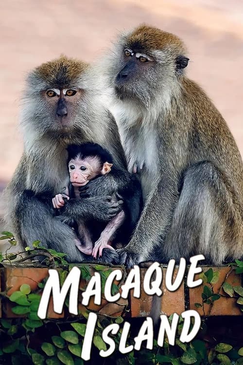 Macaque Island (2024) poster