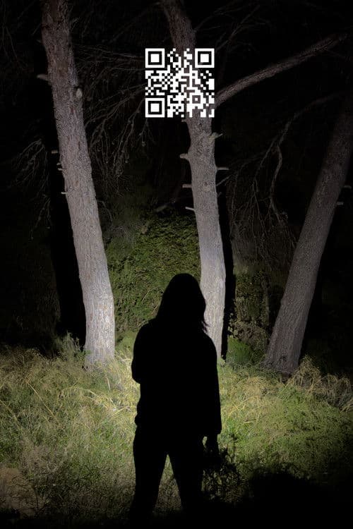 Q.R. poster