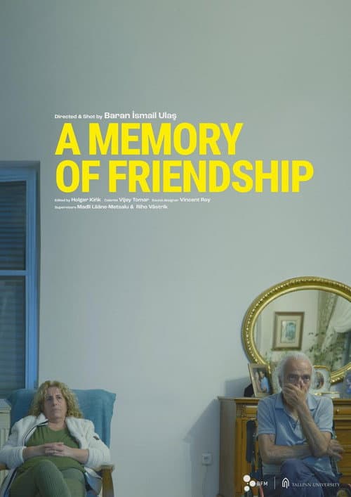 A Memory of Friendship poster