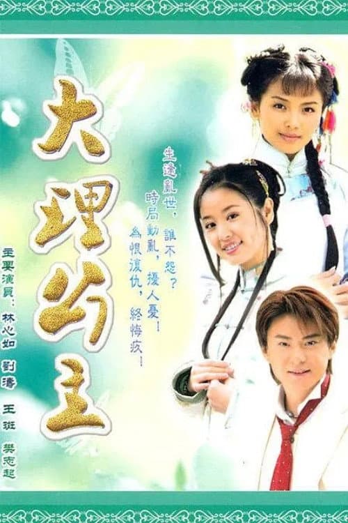 大理公主 (2009) poster
