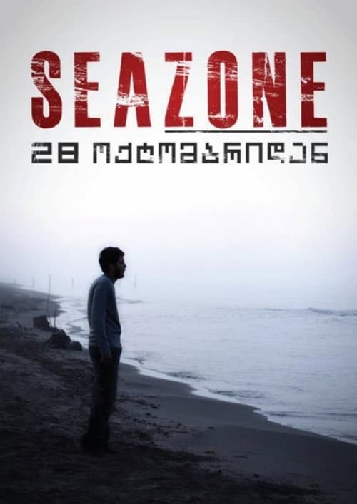 Seazone (2010) poster