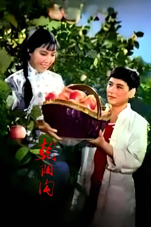 朝阳沟 (1963) poster