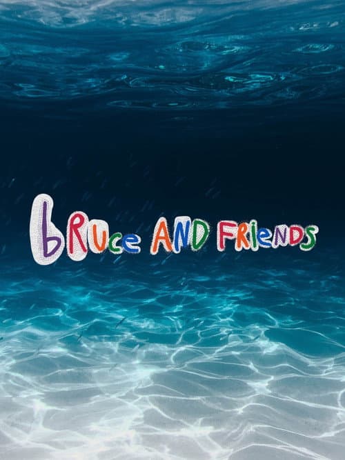 Bruce And Friends poster