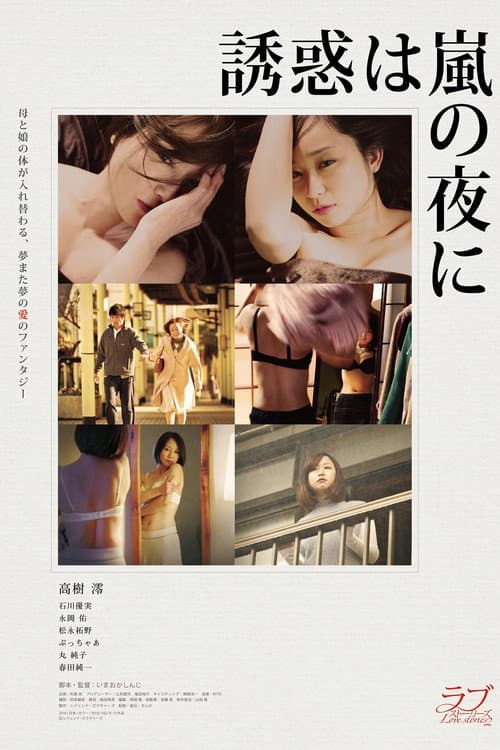 The Temptation Came at Stormy Night (2016) poster