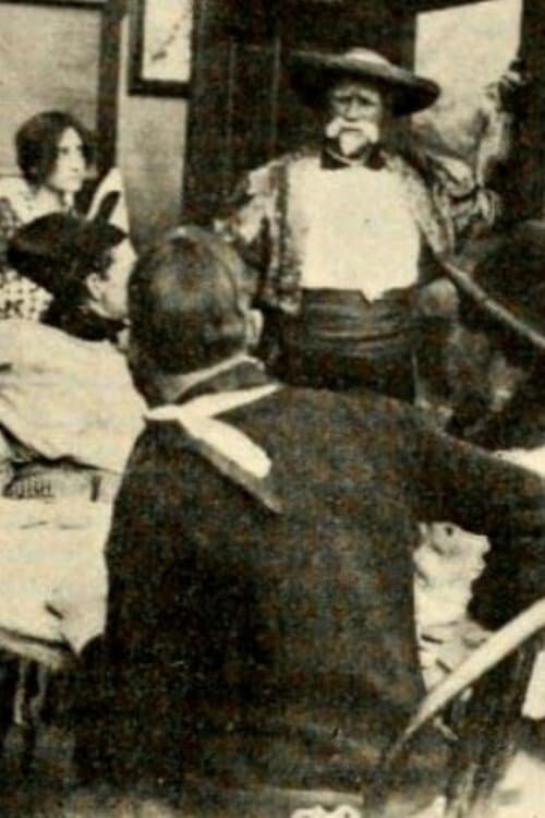 Pirates of the Plains (1914) poster