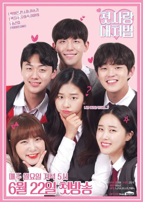 How to Deal With First Love poster
