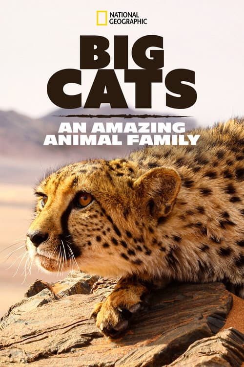 Big Cats: An Amazing Animal Family (2015) poster
